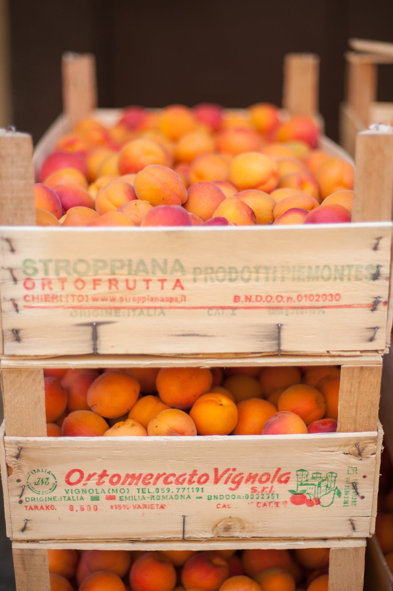 Italian Apricots