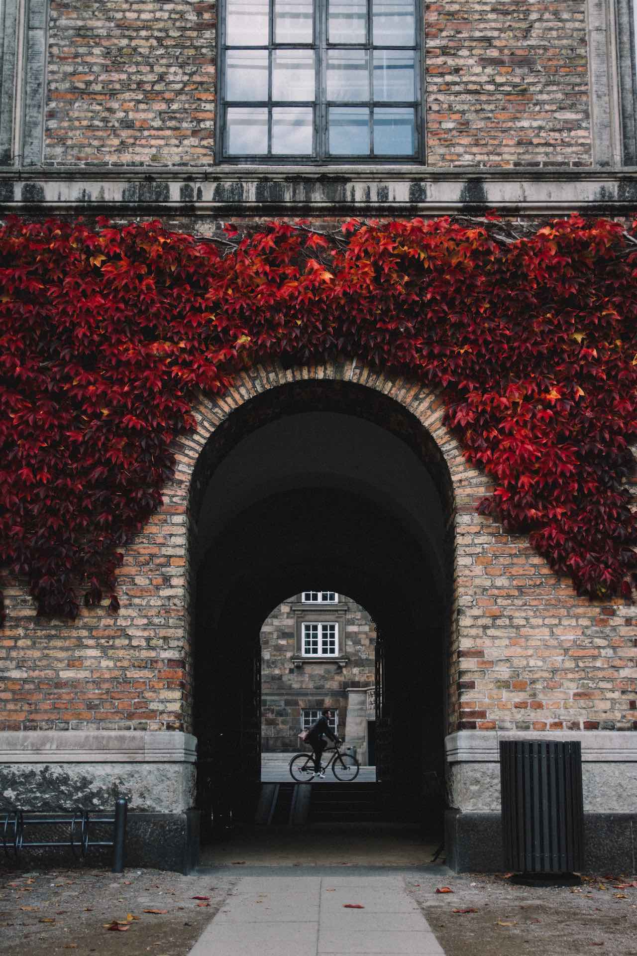 Copenhagen Street View