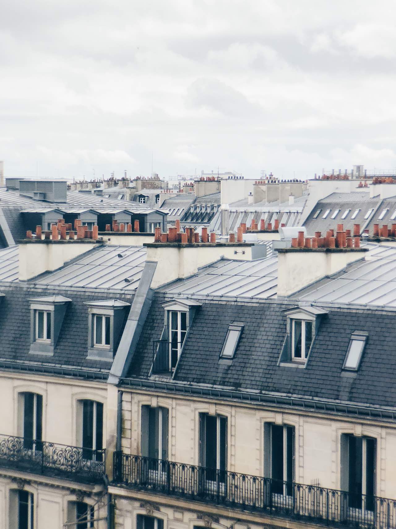 Paris Rooftops